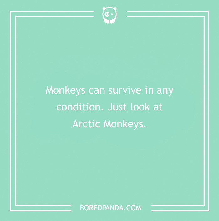 111 Funny Musician Jokes To End Your Day On A High Note