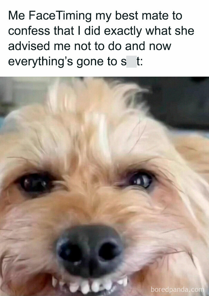 My-Therapist-Says-Mental-Health-Memes