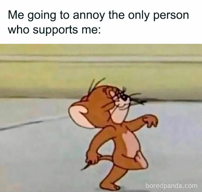 My-Therapist-Says-Mental-Health-Memes