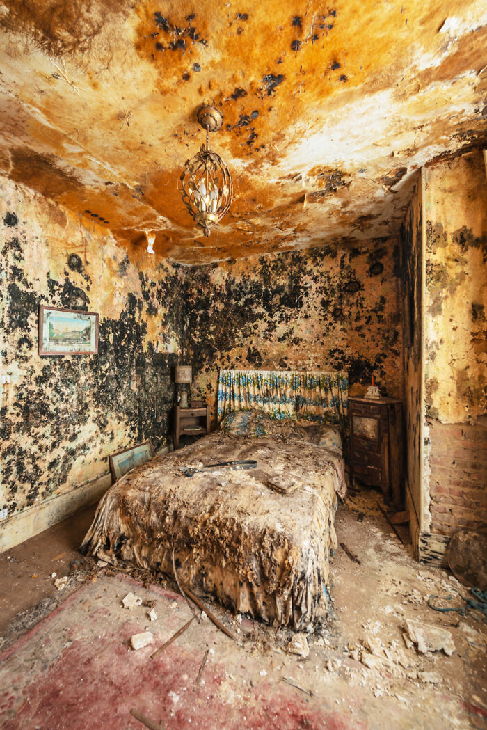 Post-apocalyptic world bedroom with overgrown mold, decayed furniture, and a severely damaged bed in an abandoned place.