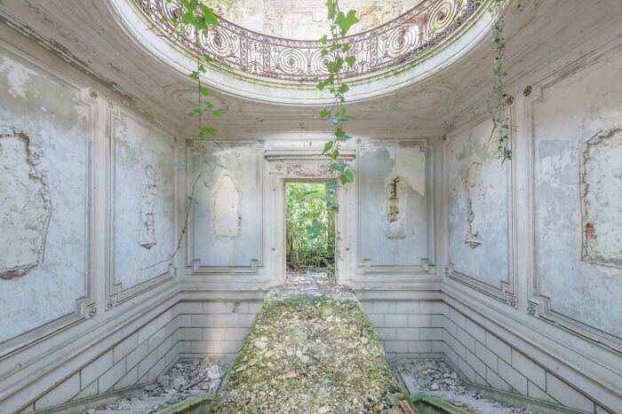 Abandoned post-apocalyptic building interior with cracked walls, overgrown plants, and natural light through a round skylight.
