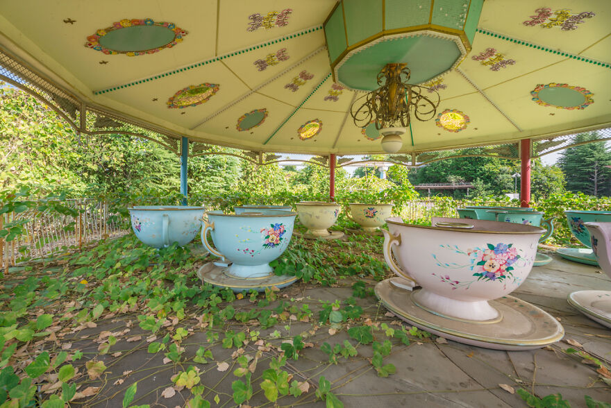 The World Without Us: Imagine A World Where Mankind Have Suddenly Disappeared