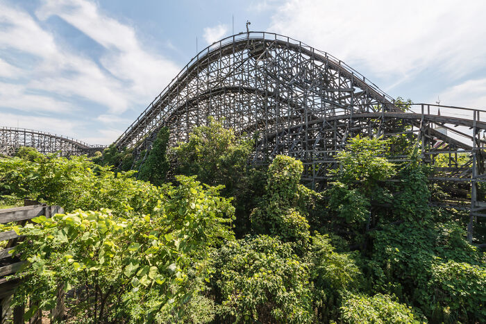 Overgrown wooden roller coaster in an abandoned place, depicting a post-apocalyptic world scene with dense green foliage.