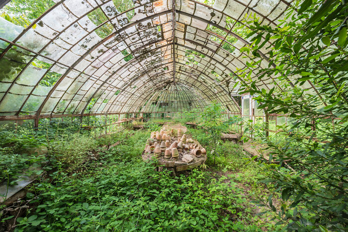 Overgrown abandoned greenhouse filled with plants and broken pots in a post-apocalyptic world setting.