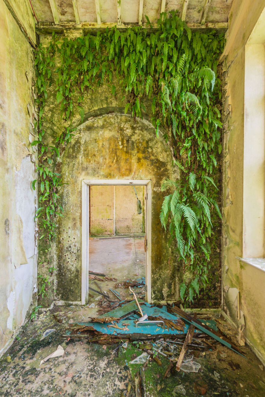 The World Without Us: Imagine A World Where Mankind Have Suddenly Disappeared