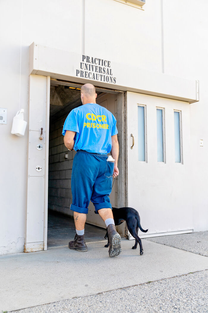 I Photographed Shelter Dogs In Training In A Maximum Security Prison
