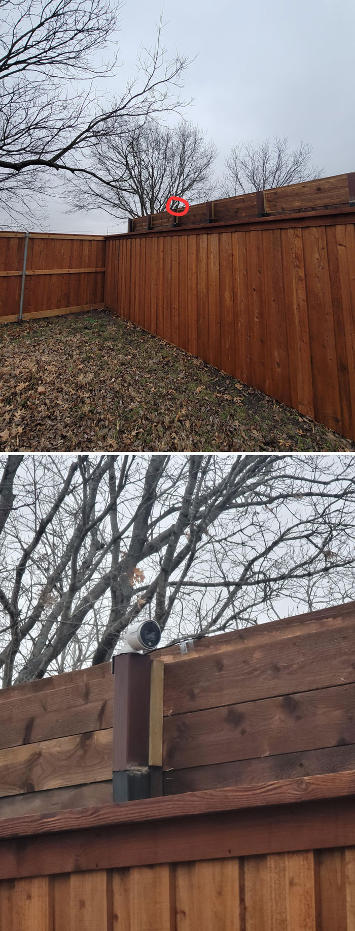 Built A 7-Foot Privacy Fence. Neighbor Raised His By 2 Feet And Put A Camera Facing Into My Backyard