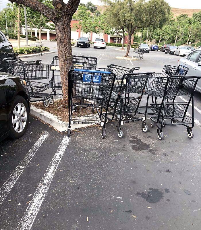 Why? The Cart Return Was Only Like 25 Feet Away