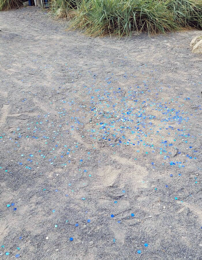 Don't Do Gender Reveals In Public Places, And If You Do, Clean Up After Yourself