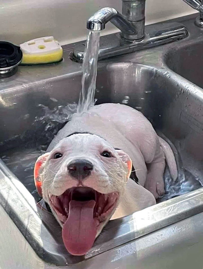 What Else To Do On A Hot Summer Day?