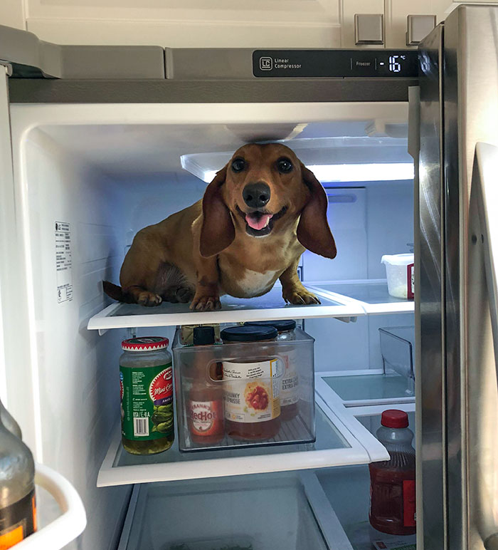 I Was Overheating So Dad Cooled Me Down