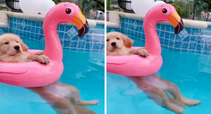 And How Do You Spend Your Summer?