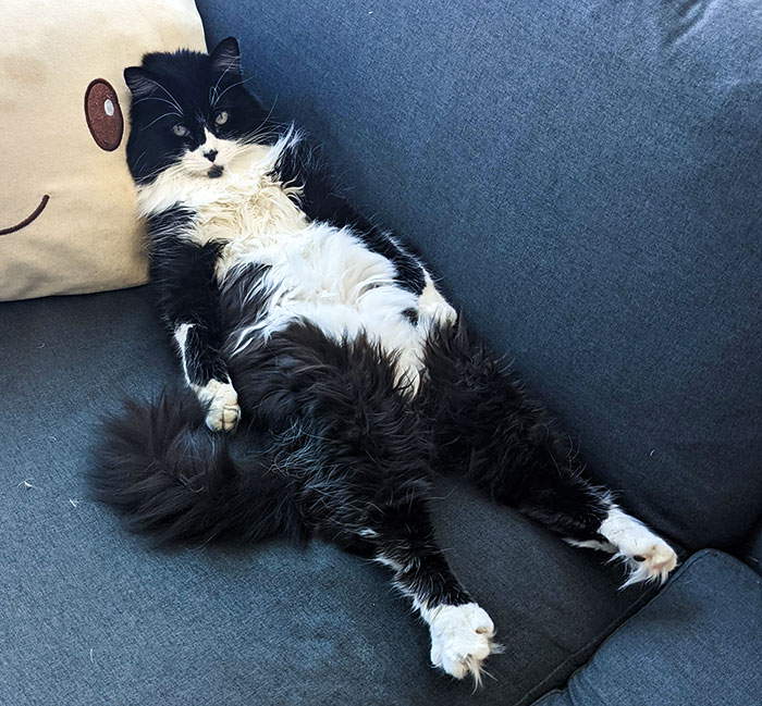 She Does This When It's Hot