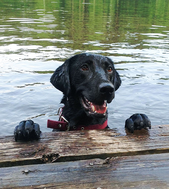 It's Her Favorite Place To Be