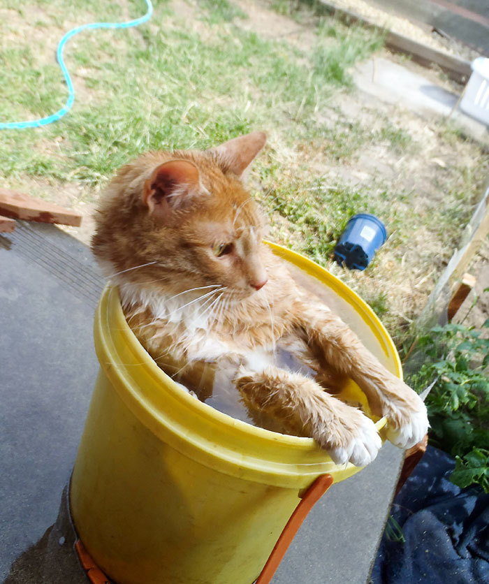 It's So Hot Out Today