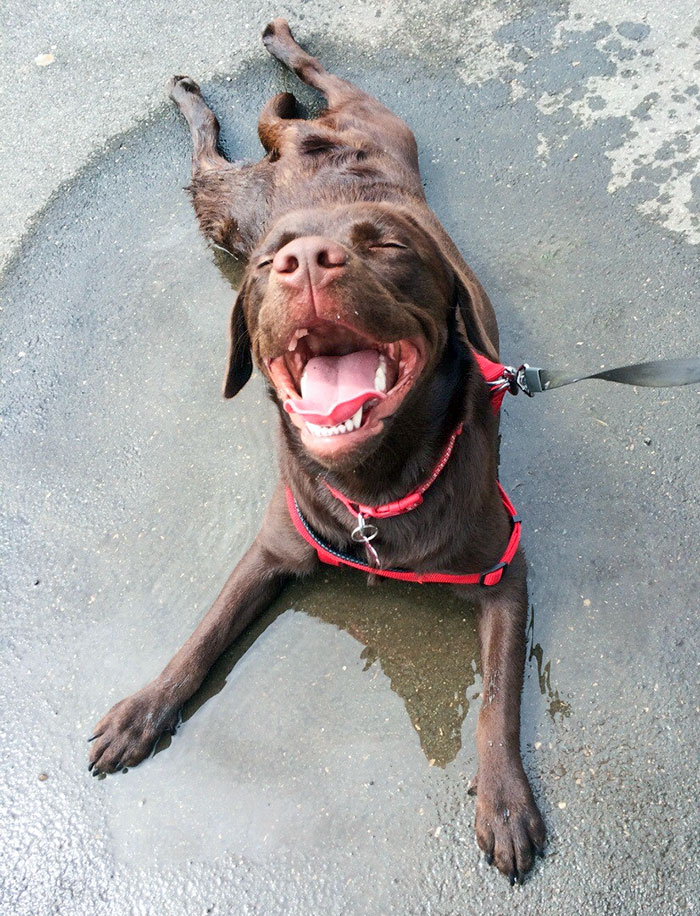 This Is How She Cooled Herself Down