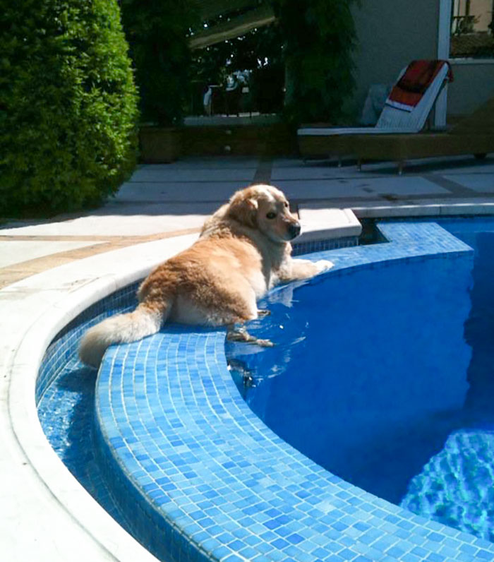 This Is How He Deals With The Heat