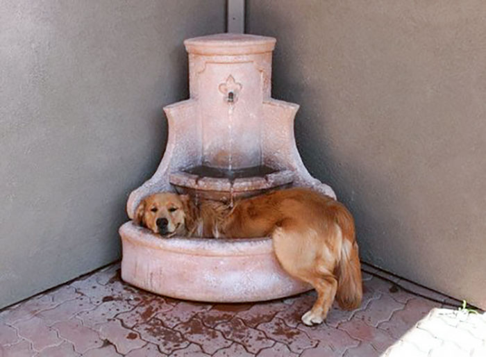 Sometimes, You Just Need To Cool Down