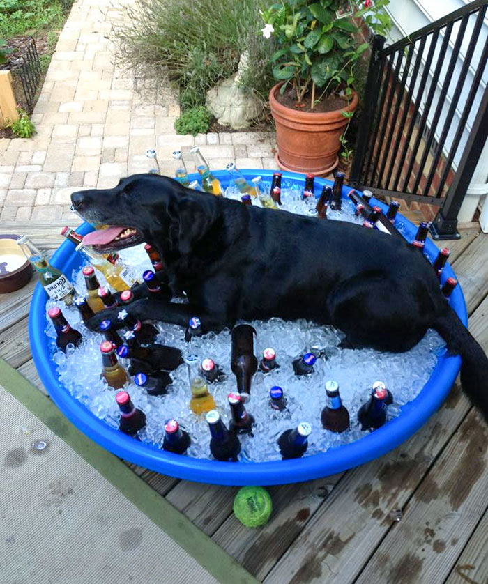 What's Cooler Than Being Cool?