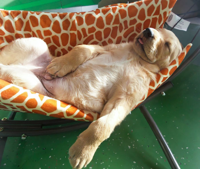 Lazy Monday From The Summer Heat