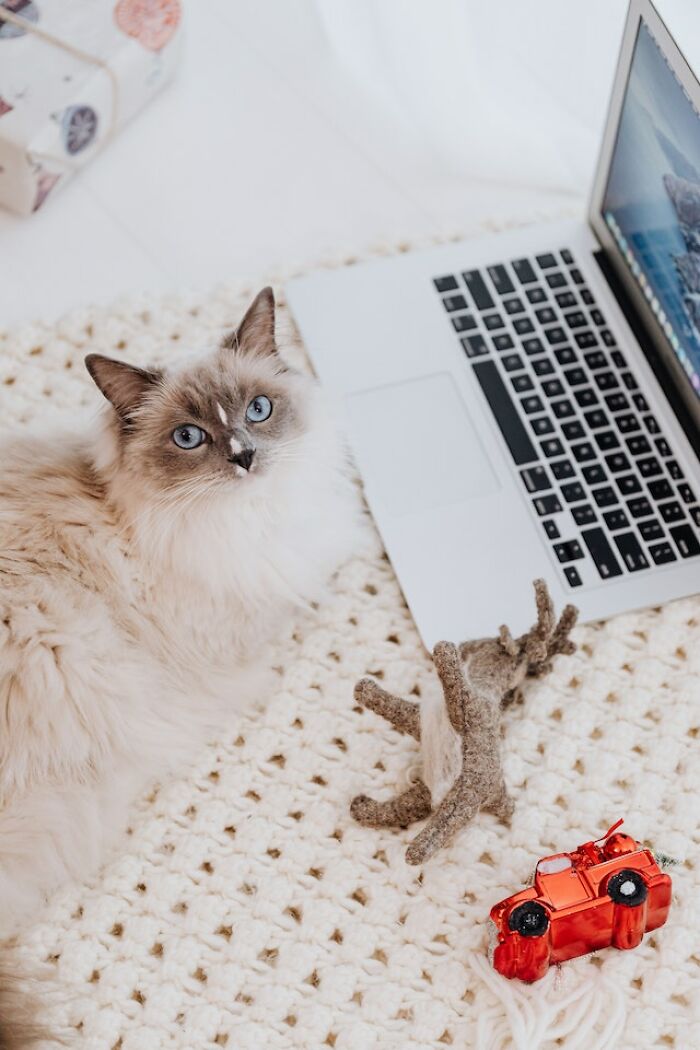 “She Got In”: 30 Of The Worst College Admission Essays Shared In This Thread