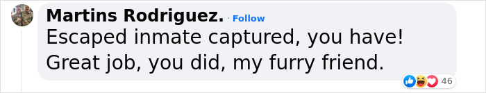 K9 Police Dog Takes 5 Minutes To Take Down A Convict Who Escaped From Prison