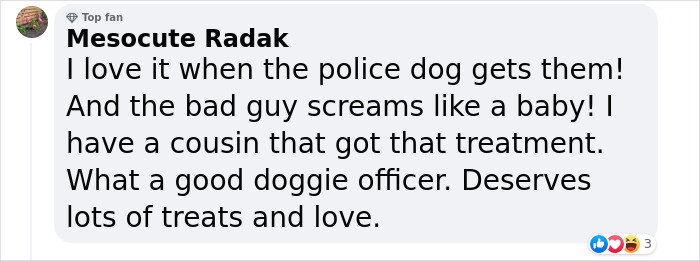 K9 Police Dog Takes 5 Minutes To Take Down A Convict Who Escaped From Prison