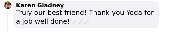 K9 Police Dog Takes 5 Minutes To Take Down A Convict Who Escaped From Prison