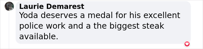 K9 Police Dog Takes 5 Minutes To Take Down A Convict Who Escaped From Prison