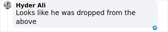 Millennium-Old 'Alien Corpses' Undergo Lab Tests: Mexican Doctors Claim Bodies Are Complete Skeletons