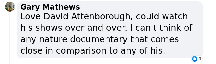 Nature Documentary Fans Are Excited To Hear 97 Y.O. David Attenborough Is Making A Return On BBC