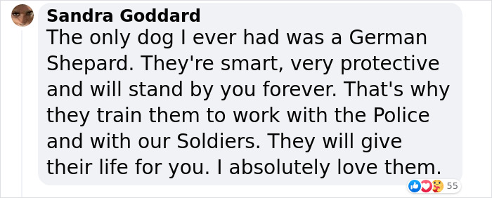 K9 Police Dog Takes 5 Minutes To Take Down A Convict Who Escaped From Prison