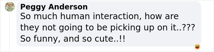 People Cannot Stop Arguing Whether Sun Bears Are Humans In Costumes