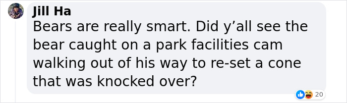 People Cannot Stop Arguing Whether Sun Bears Are Humans In Costumes