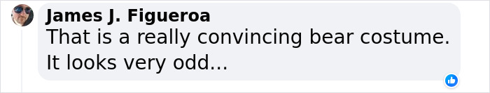 People Cannot Stop Arguing Whether Sun Bears Are Humans In Costumes