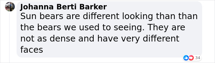 People Cannot Stop Arguing Whether Sun Bears Are Humans In Costumes