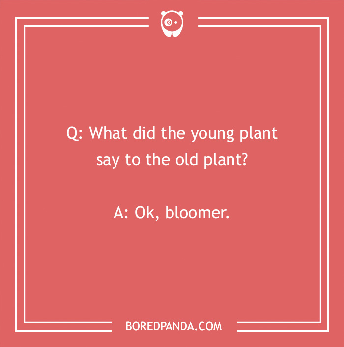 A Collection of 148 Plant Puns That Will Leaf You Chuckling