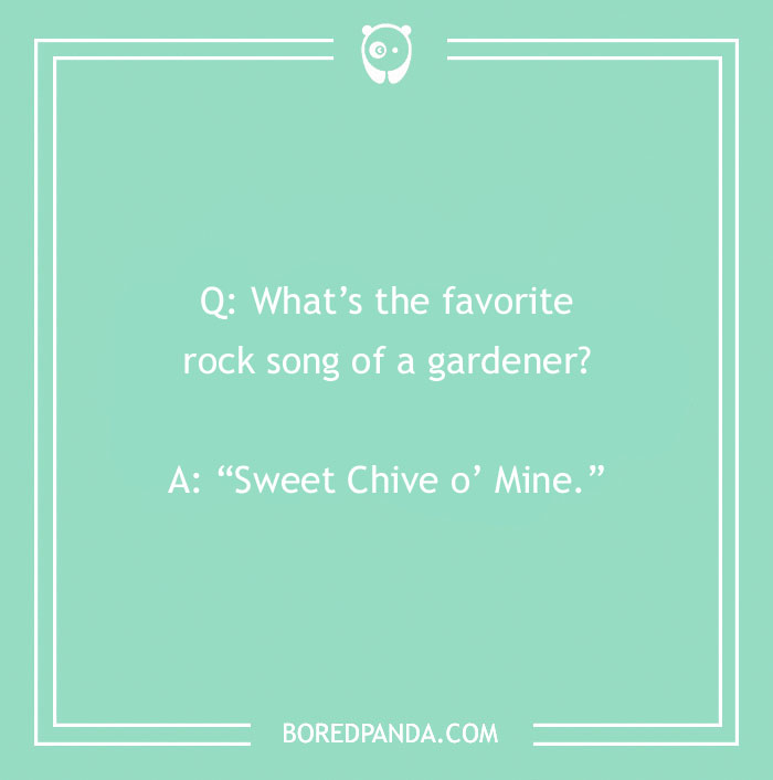 A Collection of 148 Plant Puns That Will Leaf You Chuckling