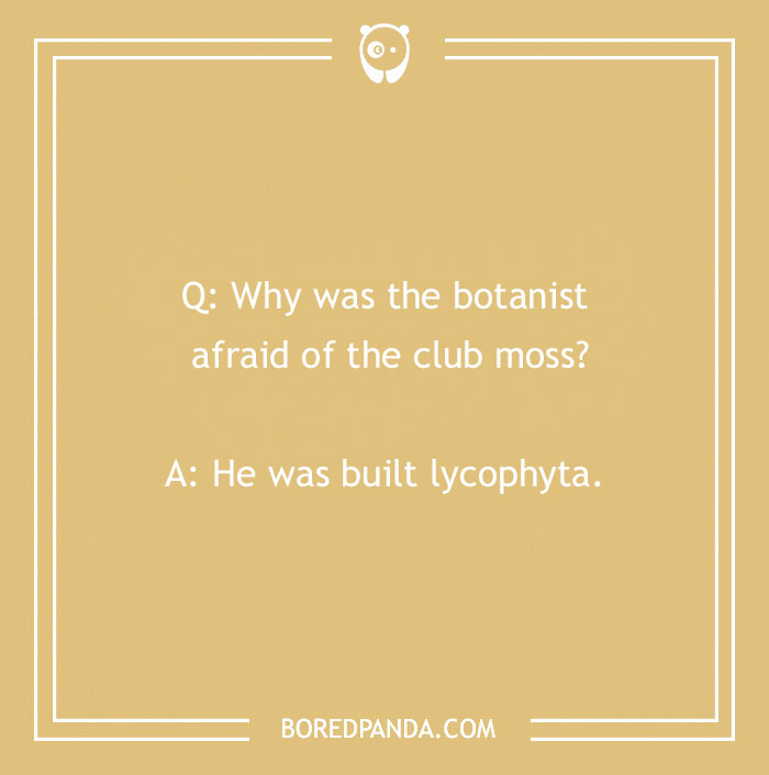 A Collection of 148 Plant Puns That Will Leaf You Chuckling