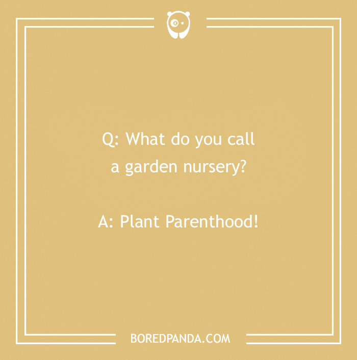 A Collection of 148 Plant Puns That Will Leaf You Chuckling