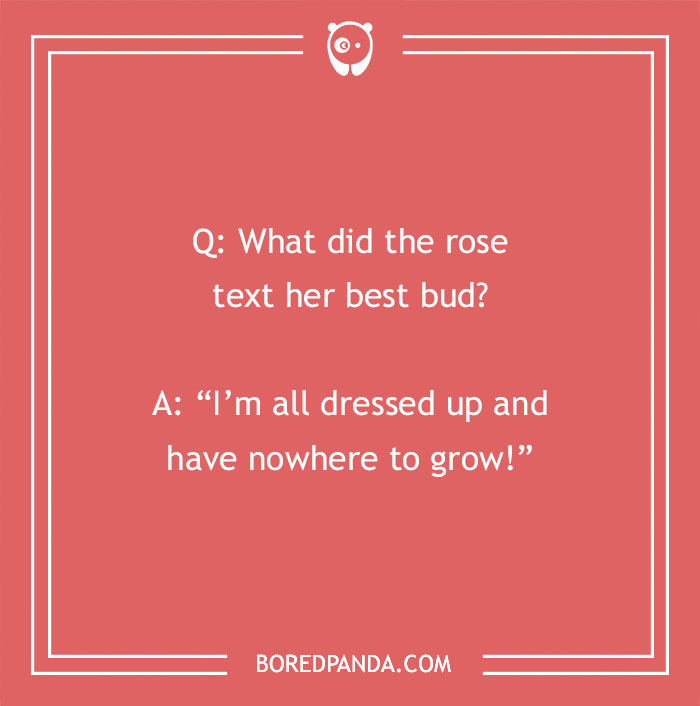 A Collection of 148 Plant Puns That Will Leaf You Chuckling