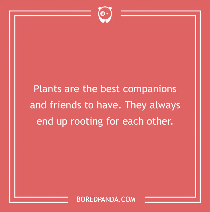 A Collection of 148 Plant Puns That Will Leaf You Chuckling