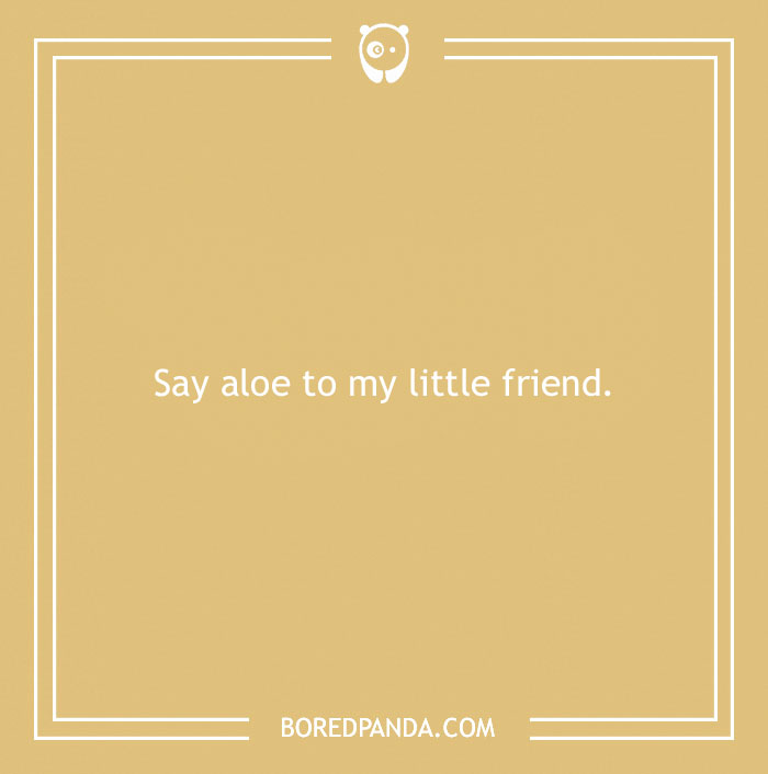 A Collection of 148 Plant Puns That Will Leaf You Chuckling