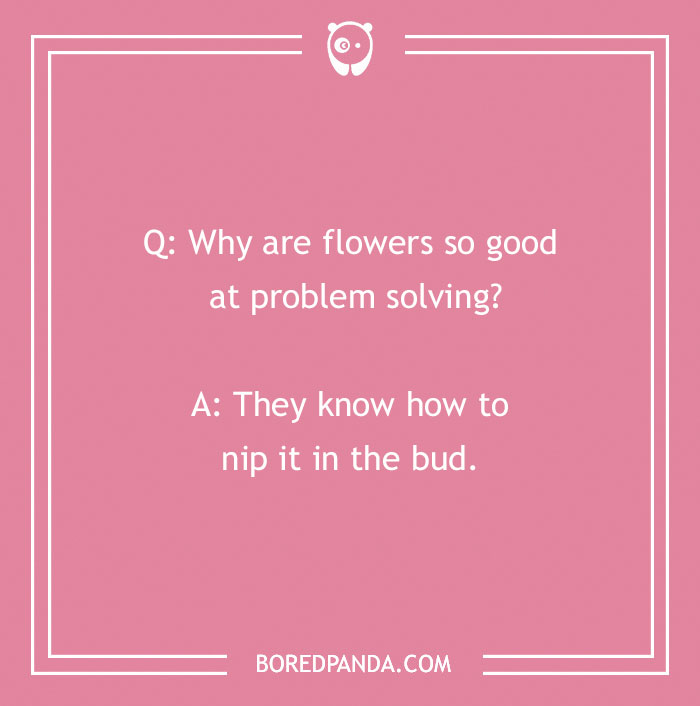 A Collection of 148 Plant Puns That Will Leaf You Chuckling