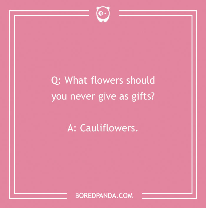 A Collection of 148 Plant Puns That Will Leaf You Chuckling