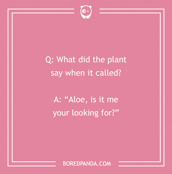 A Collection of 148 Plant Puns That Will Leaf You Chuckling