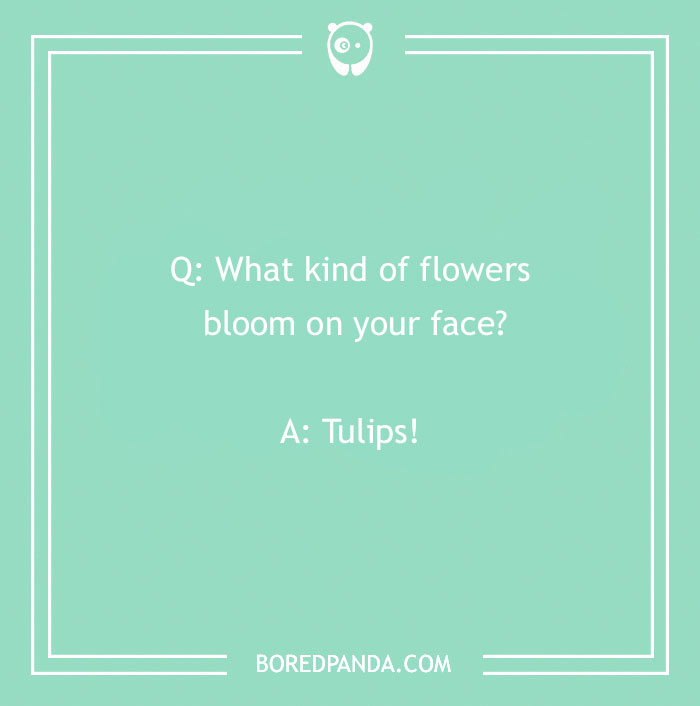 A Collection of 148 Plant Puns That Will Leaf You Chuckling