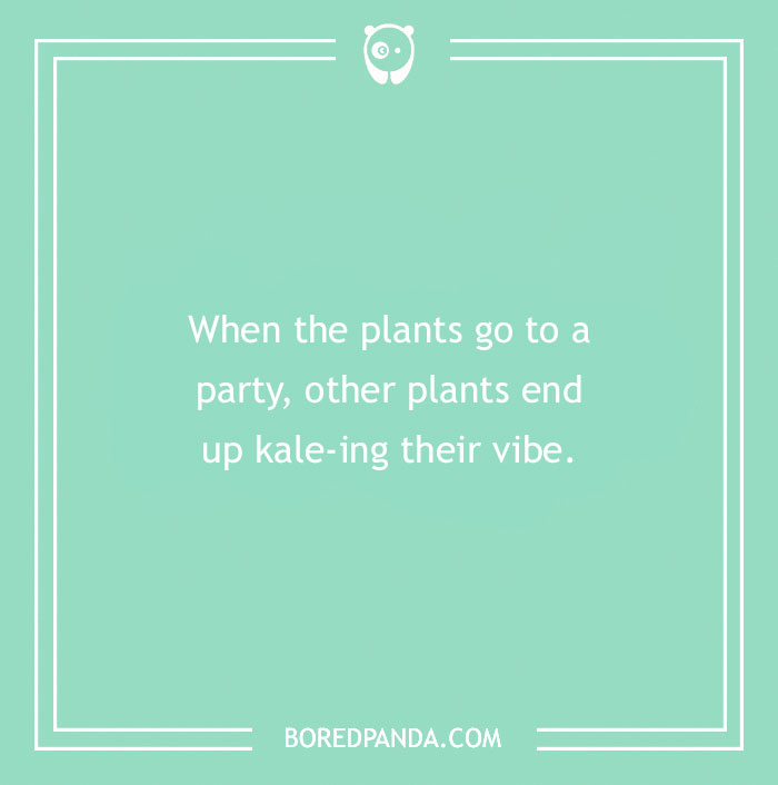 A Collection of 148 Plant Puns That Will Leaf You Chuckling