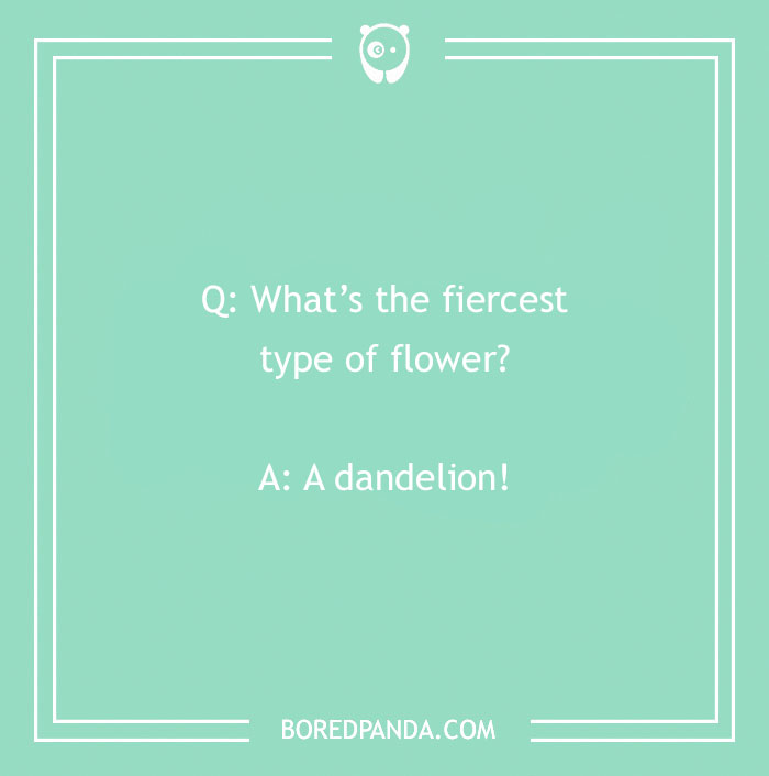 A Collection of 148 Plant Puns That Will Leaf You Chuckling