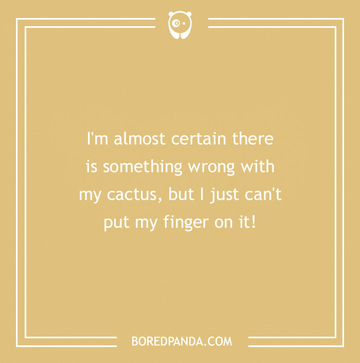 A Collection of 148 Plant Puns That Will Leaf You Chuckling